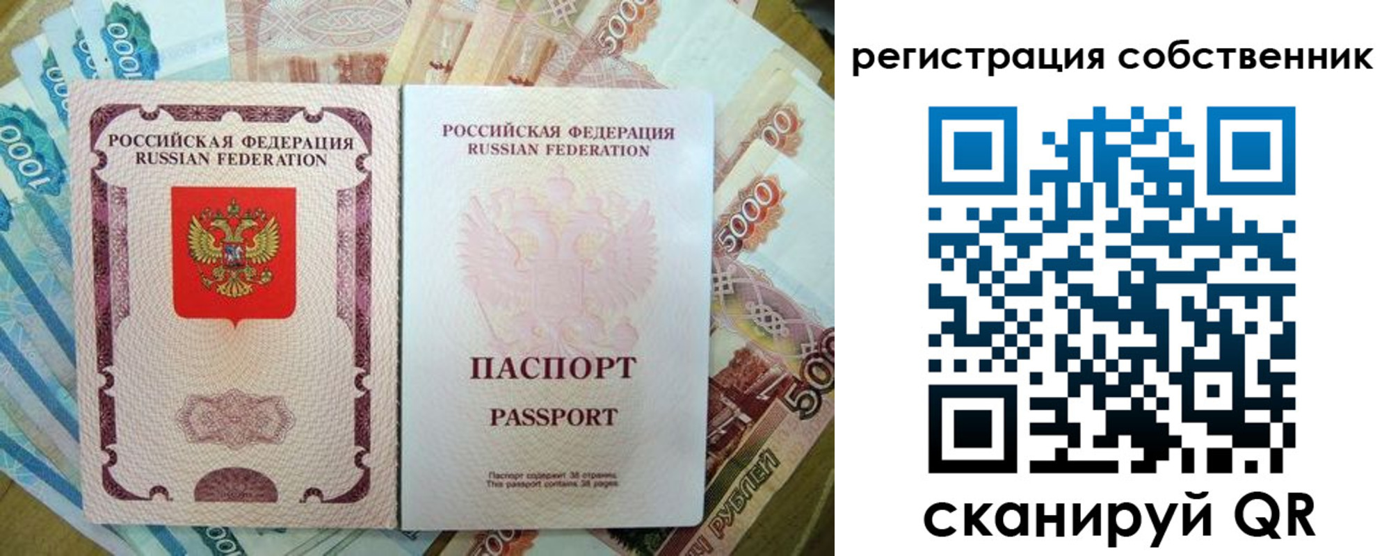 прописка гарантия в Тульской области